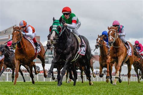 list of caulfield cup winners|Past Caulfield Cup Winners, Results, History .
